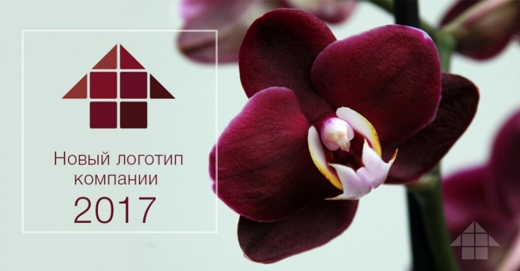 Новый логотип М8 Правильный дом в цвете Марсала